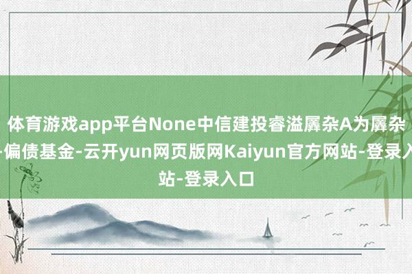 体育游戏app平台None中信建投睿溢羼杂A为羼杂型-偏债基金-云开yun网页版网Kaiyun官方网站-登录入口