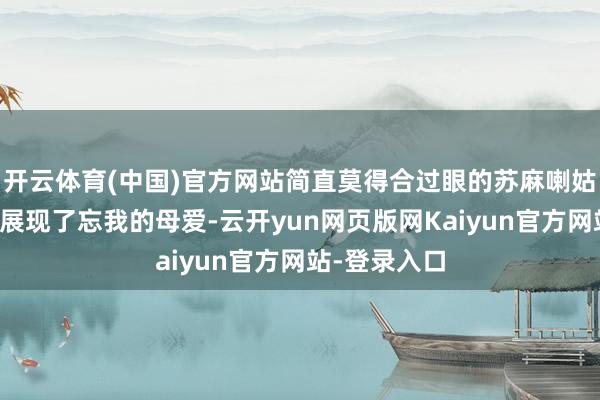 开云体育(中国)官方网站简直莫得合过眼的苏麻喇姑在死活关头展现了忘我的母爱-云开yun网页版网Kaiyun官方网站-登录入口